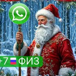 WhatsApp физ аккаунт Рус +7