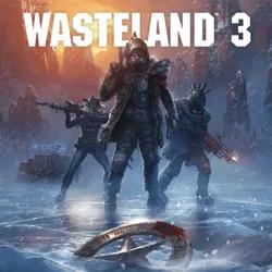 Wasteland 3 /The Steam Key/ RU+CIS