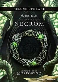 🌌TESO Online Collection: Necrom  Steam-Gift🌌