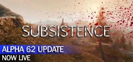 ⚡️Steam gift Russia - Subsistence | AUTODELIVERY