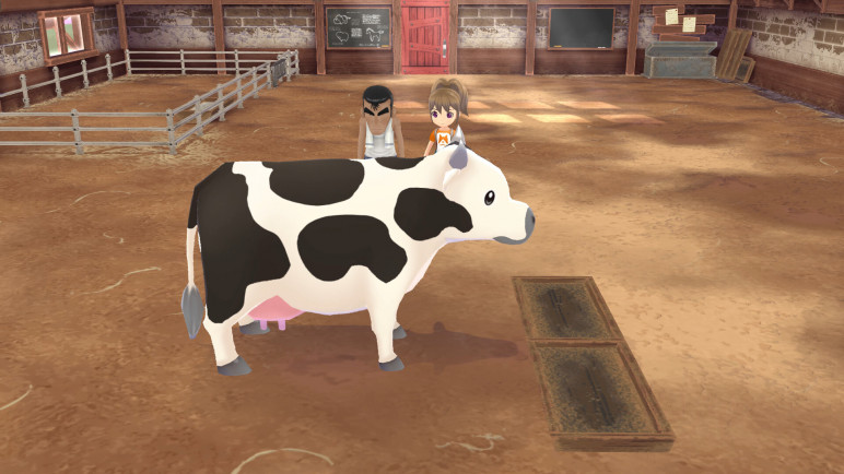 Story of Seasons a Wonderful Life – image 11
