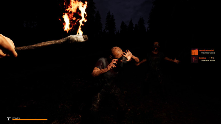 Купить Mist Survival – изображение 4