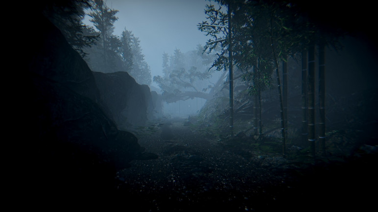 All for the section – image 4