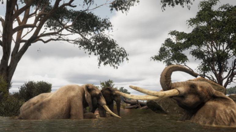 Купить ключ Animalia Survival для Steam – изображение 5