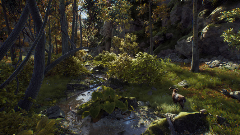 Review of the Way of the Hunter – image 20