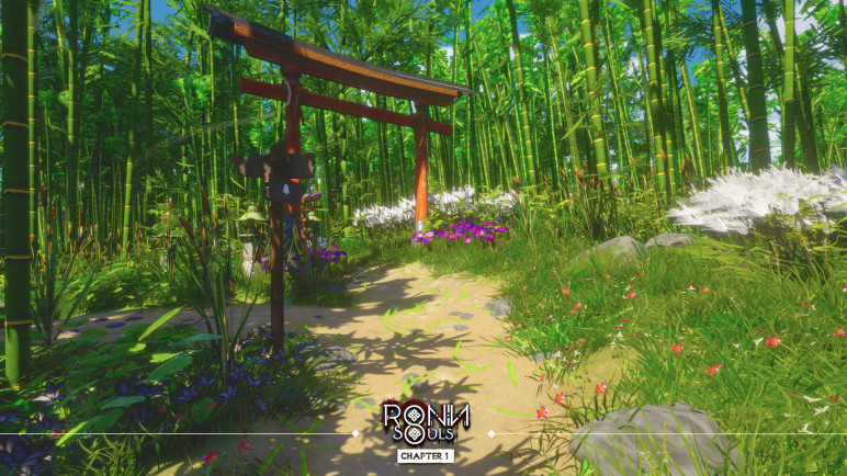 RONIN: Two Souls CHAPTER 1 Steam Keys and Gifts – image 9