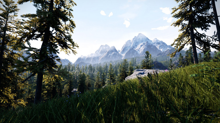 Покупка на ваш аккаунт для Hunting Simulator – изображение 2
