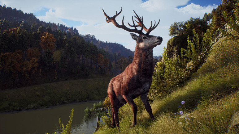 Review of the Way of the Hunter – image 22