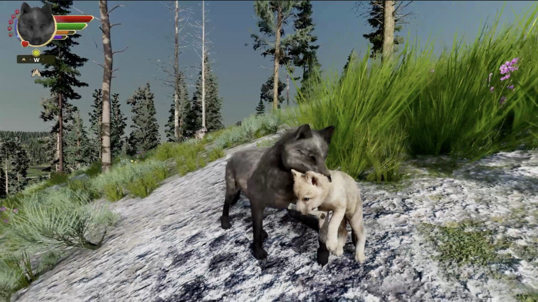 The WolfQuest Anniversary Edition – image 9