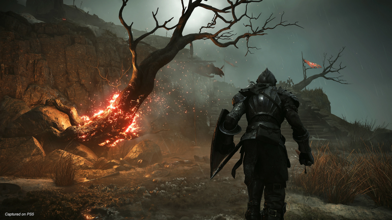 Demon Souls Purchase on your account – image 3