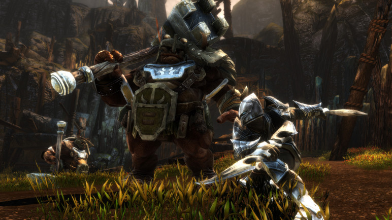 Купить ключ Kingdoms of Amalur Re Reckoning для Steam – изображение 3