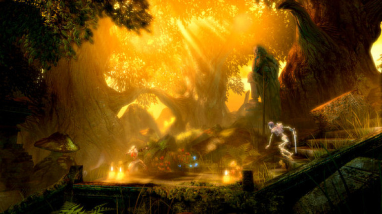 Trine Enchanted Edition – Ключи и гифты для Steam – изображение 3