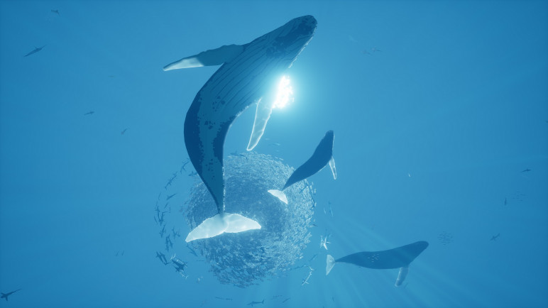 Buy an ABZU account – image 4