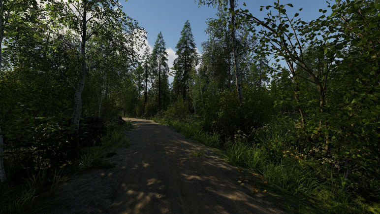 Купить ключ Finnish Cottage Simulator для Steam – изображение 4