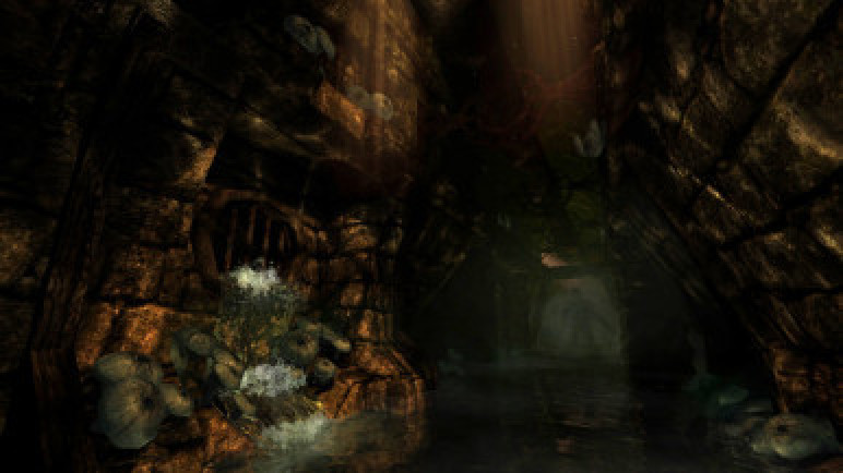Купить ключ Amnesia The Dark Descent – изображение 6