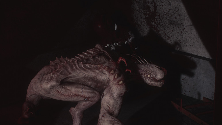 Buy an Offline SCP 5K Account – image 2