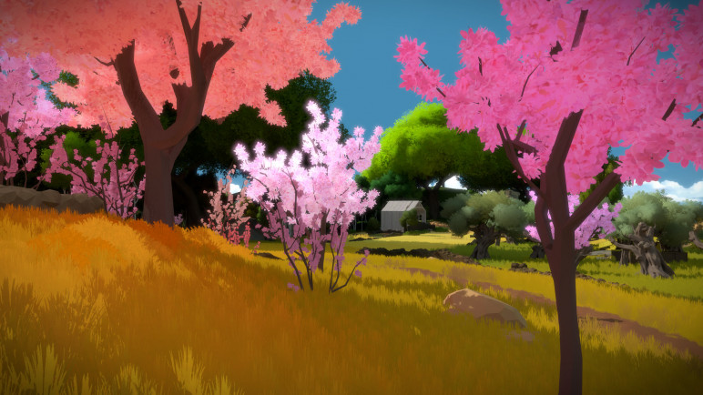 Buy an Offline Account for The Witness – image 5