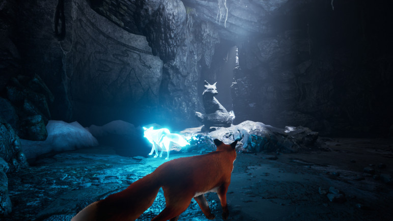Buy the Spirit of the North Key for Steam – image 4