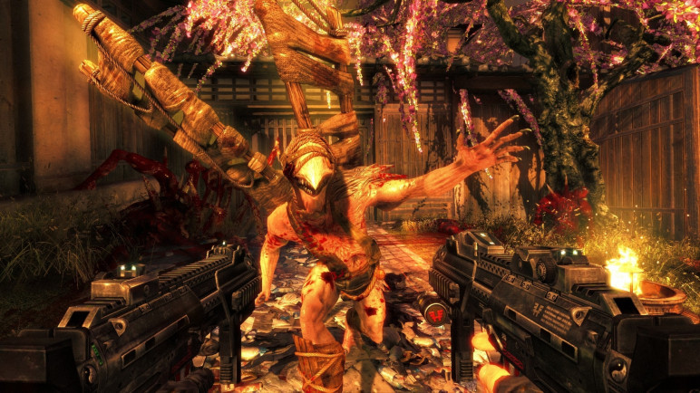 Offline account Shadow Warrior 2013 – image 4