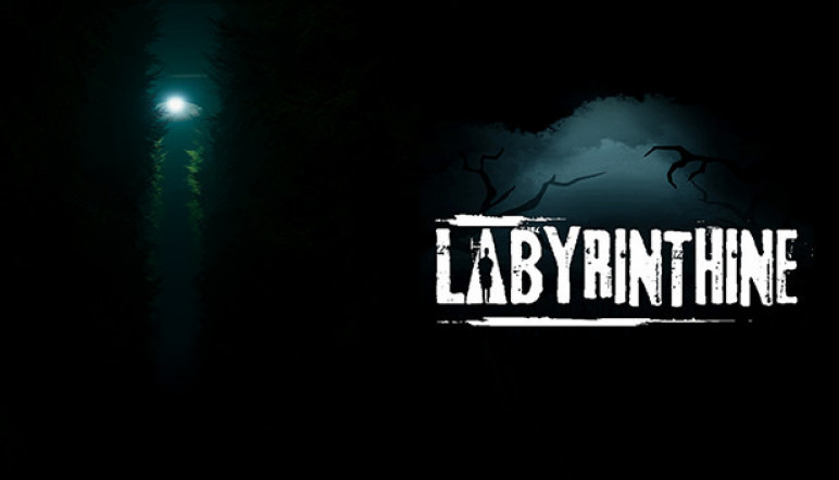 Купить ключ Labyrinthine для Steam – изображение 12