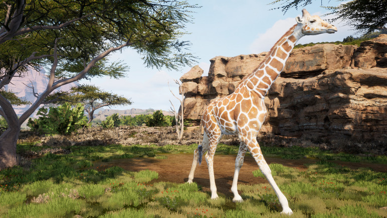 Купить ключ Animalia Survival для Steam – изображение 11