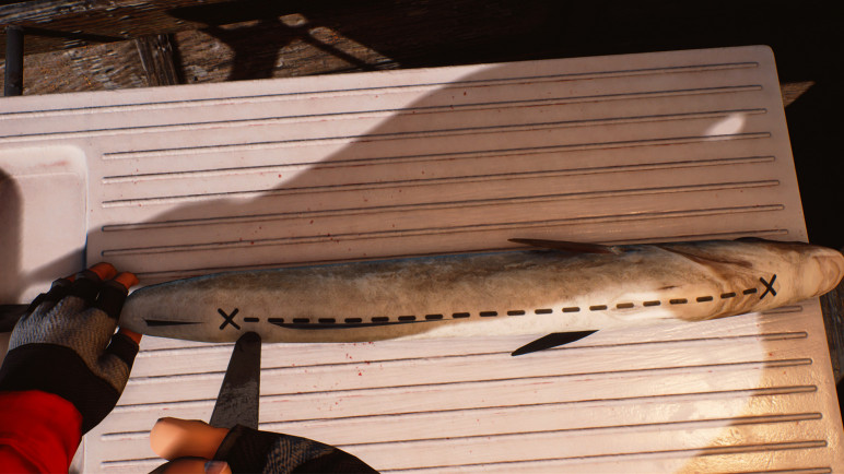 Fishing Barents Sea – image 5