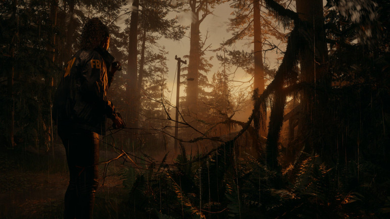 Alan Wake 2 Accounts – image 2