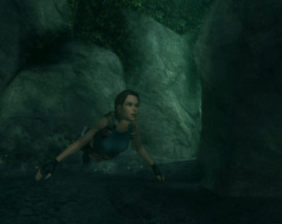 The Tomb Raider Anniversary – image 3