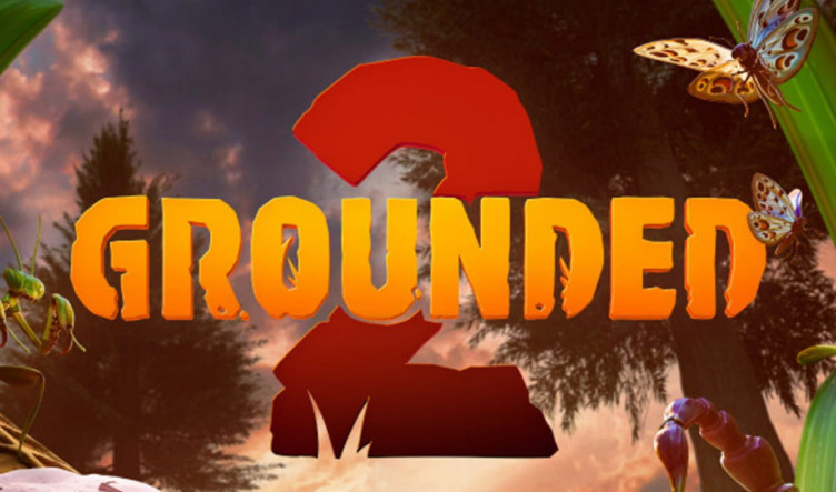 Buy Grounded 2 – image 12