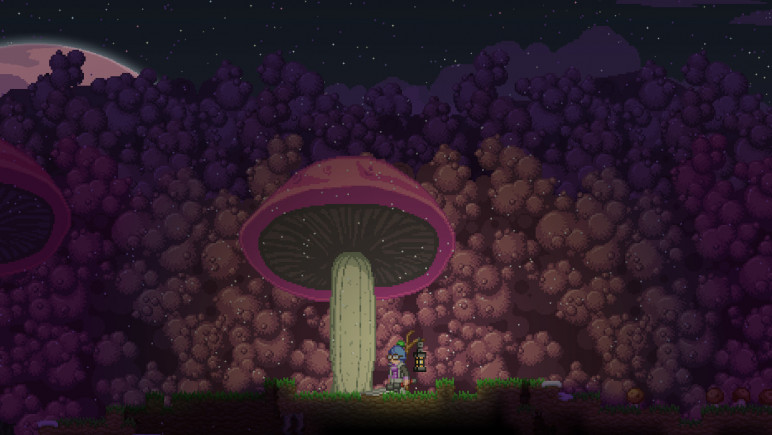 Buying Starbound Key – image 7