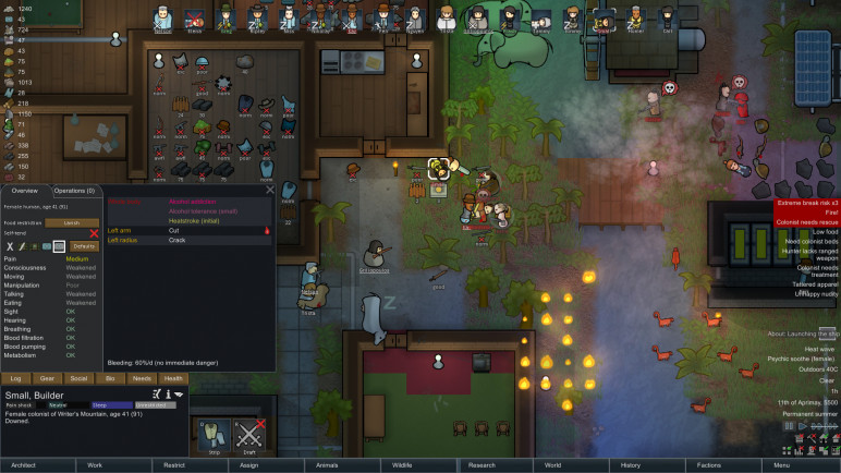RimWorld DLC – image 2