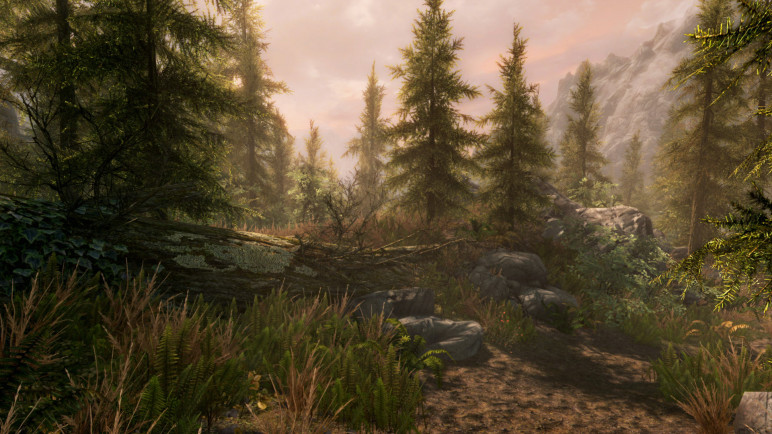 The Elder Scrolls V: Skyrim – image 8