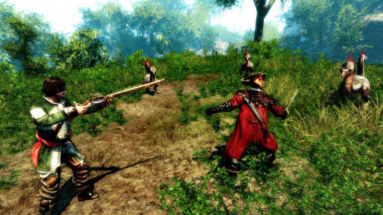 Купить Risen 2: Dark Waters для Steam – изображение 3