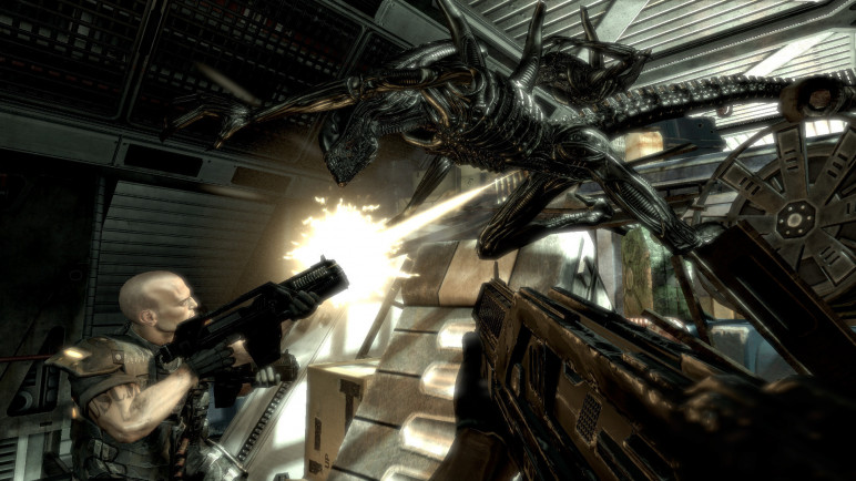 Aliens vs Predator for Steam – image 3