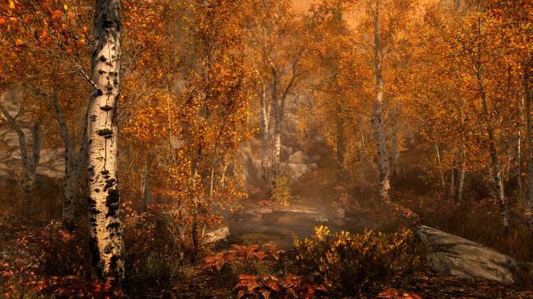 The Elder Scrolls V: Skyrim – image 4