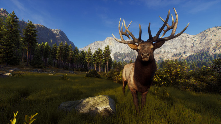 Review of the Way of the Hunter – image 2