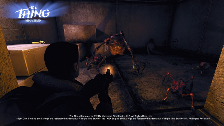 All for the section – image 5