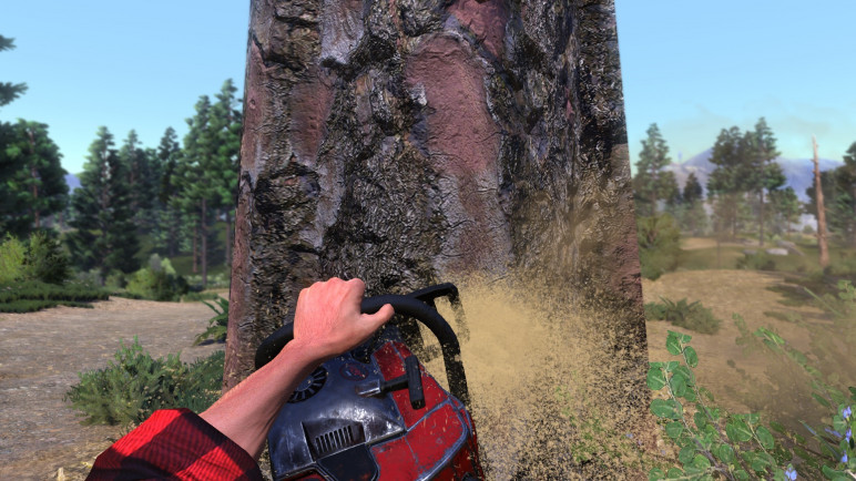Additional DLC to Lumberjacks Dynasty – image 2