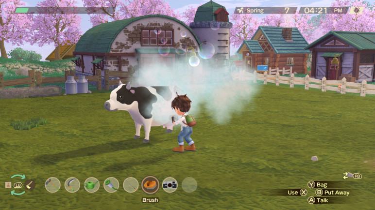 Story of Seasons a Wonderful Life – image 4