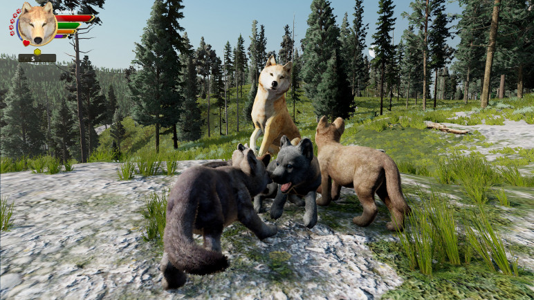 The WolfQuest Anniversary Edition – image 4