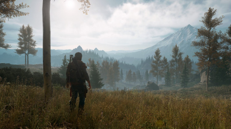 Купить оффлайн аккаунт Days Gone для Steam – изображение 6