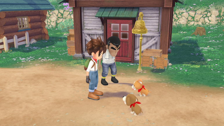 Story of Seasons a Wonderful Life – image 10