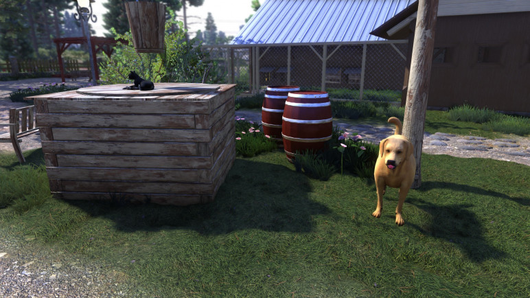 Additional DLC to Lumberjacks Dynasty – image 5
