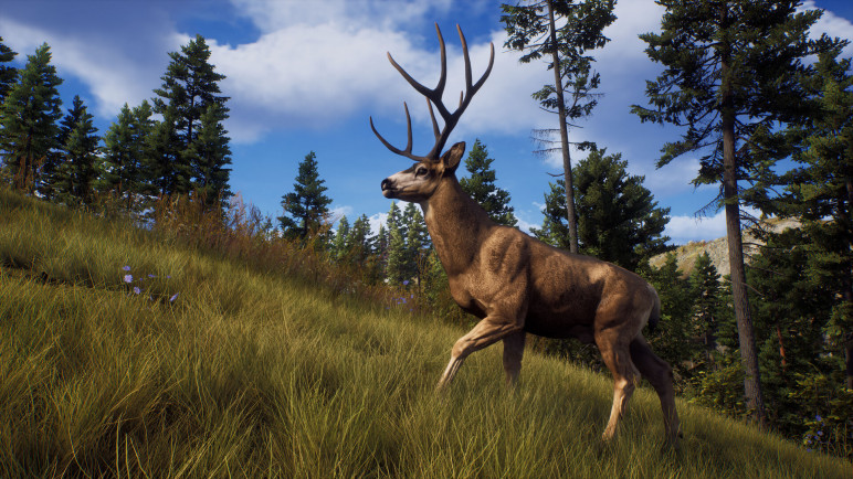Review of the Way of the Hunter – image 24