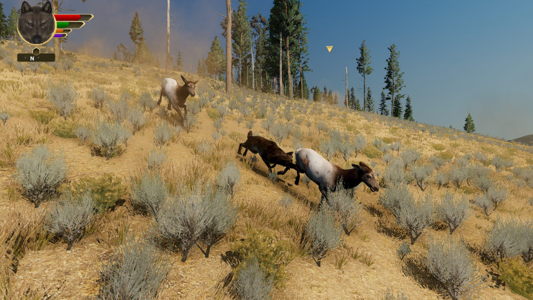 The WolfQuest Anniversary Edition – image 10