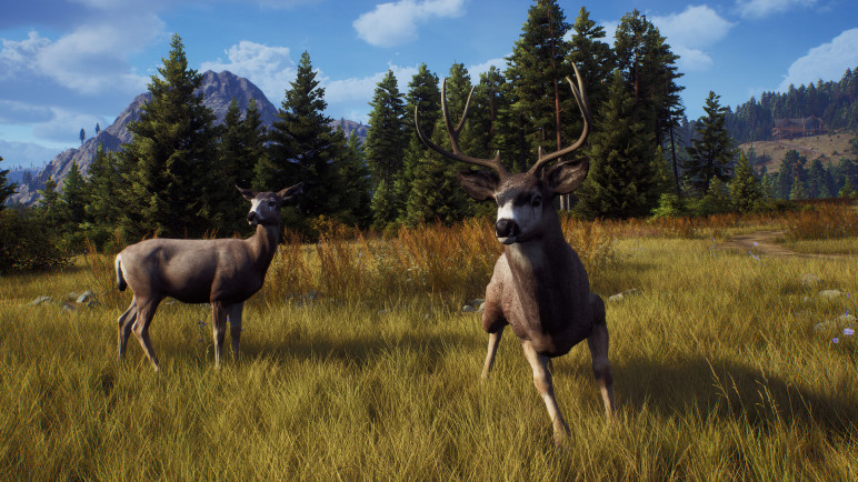 Review of the Way of the Hunter – image 18