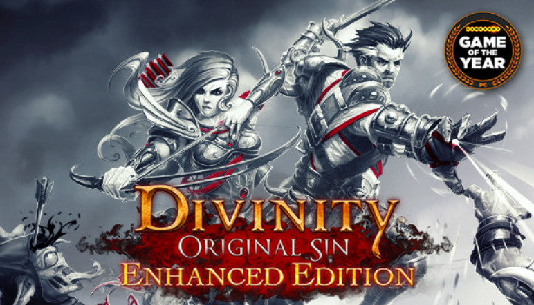 Купить оффлайн аккаунт Divinity Original Sin для Steam – изображение 9
