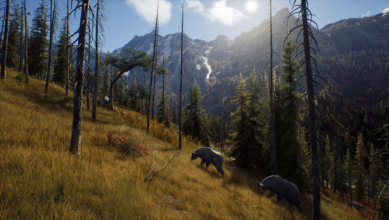 Review of the Way of the Hunter – image 16
