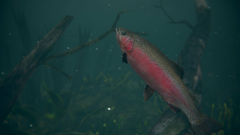 Ultimate Fishing Simulator 2 for Steam – image 2