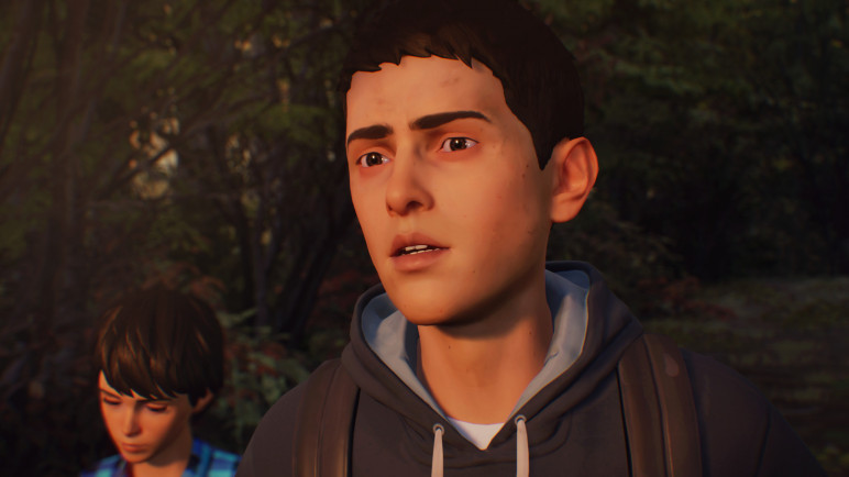 Оффлайн аккаунты для Life Is Strange 2 – изображение 10